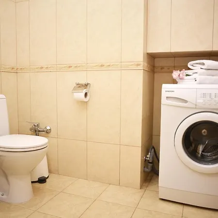 Apartment Premium Rent In Centre - *